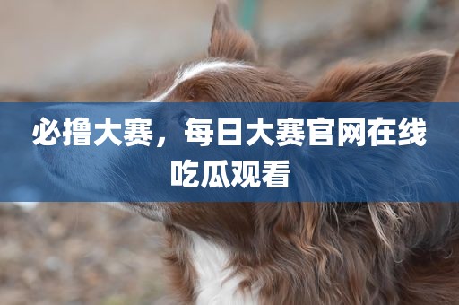 必撸大赛，每日大赛官网在线吃瓜观看