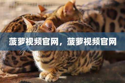 菠萝视频官网，菠萝视频官网