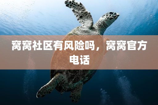 窝窝社区有风险吗，窝窝官方电话