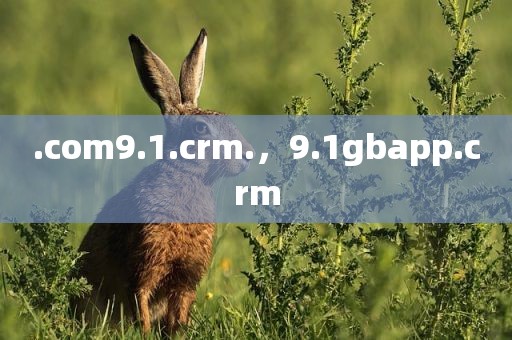 .com9.1.crm.，9.1gbapp.crm