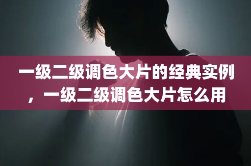 一级二级调色大片的经典实例，一级二级调色大片怎么用