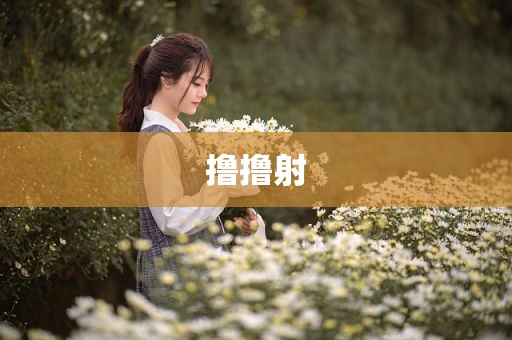撸撸射