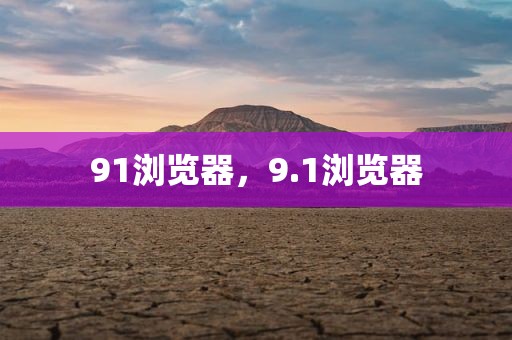 91浏览器，9.1浏览器