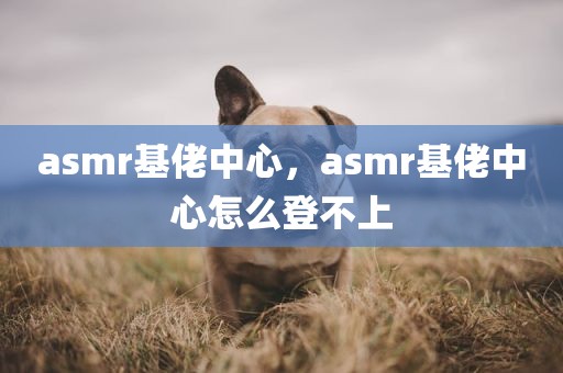 asmr基佬中心，asmr基佬中心怎么登不上