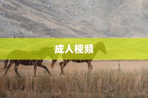 成人视频