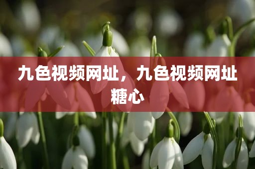 九色视频网址，九色视频网址糖心
