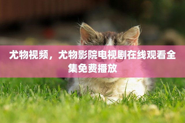 尤物视频，尤物影院电视剧在线观看全集免费播放