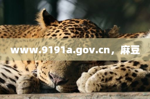 www.9191a.gov.cn，麻豆