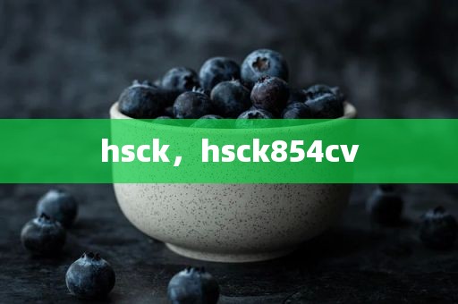 hsck，hsck854cv