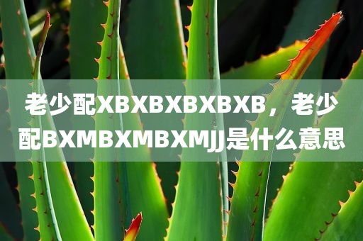 老少配XBXBXBXBXB，老少配BXMBXMBXMJJ是什么意思