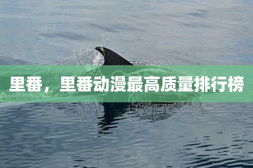 里番，里番动漫最高质量排行榜