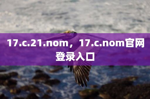 17.c.21.nom，17.c.nom官网登录入口