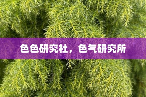 色色研究社，色气研究所