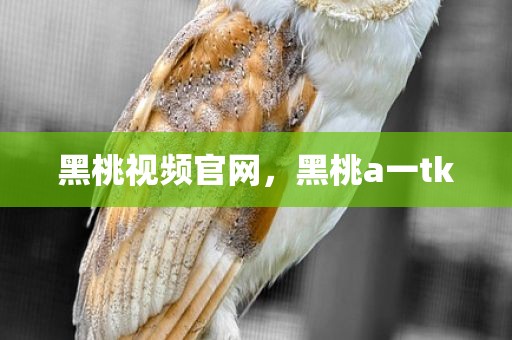 黑桃视频官网，黑桃a一tk