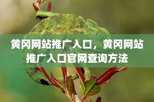 黄冈网站推广入口，黄冈网站推广入口官网查询方法