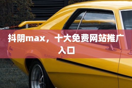 抖阴max，十大免费网站推广入口