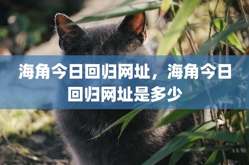 海角今日回归网址，海角今日回归网址是多少
