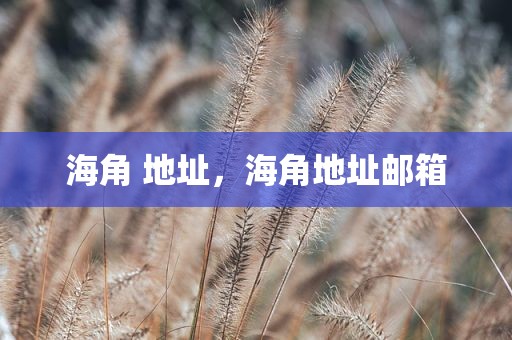 海角 地址，海角地址邮箱