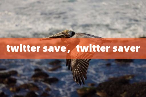 twitter save，twitter saver
