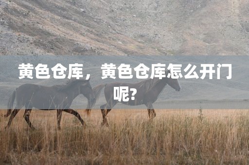 黄色仓库，黄色仓库怎么开门呢?