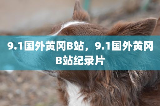 9.1国外黄冈B站，9.1国外黄冈B站纪录片