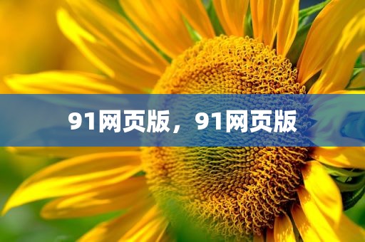 91网页版，91网页版
