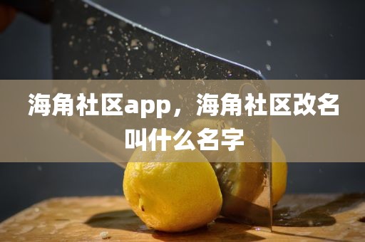 海角社区app，海角社区改名叫什么名字