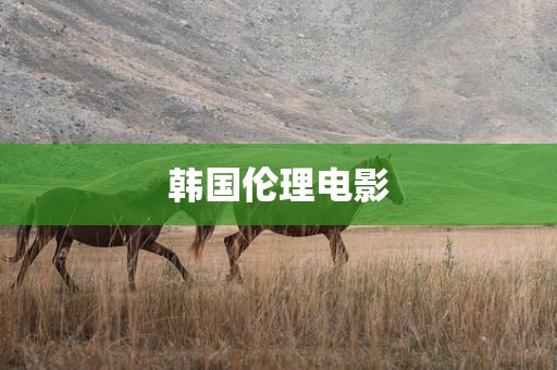韩国伦理电影