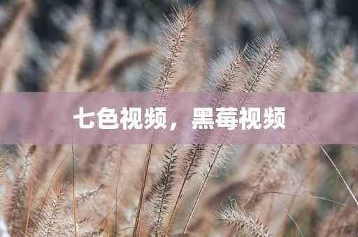 七色视频，黑莓视频