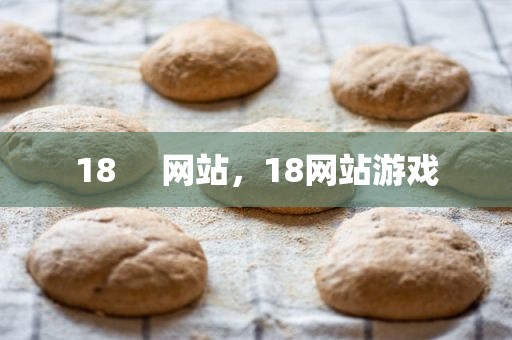 18     网站，18网站游戏