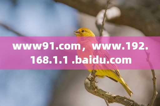 www91.com，www.192.168.1.1 .baidu.com