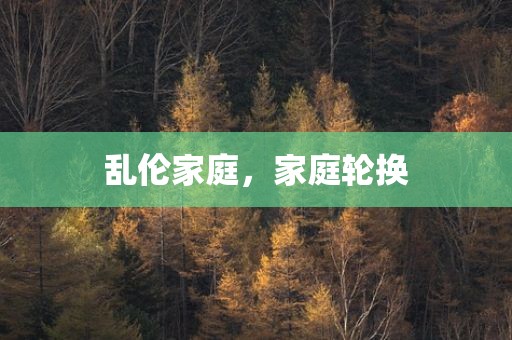 乱伦家庭，家庭轮换