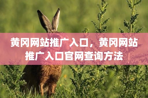黄冈网站推广入口，黄冈网站推广入口官网查询方法