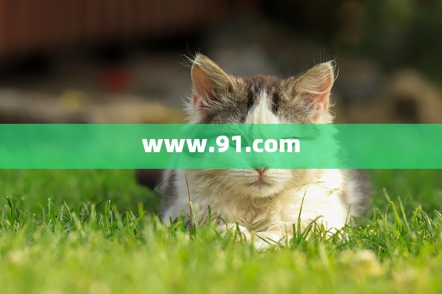 www.91.com