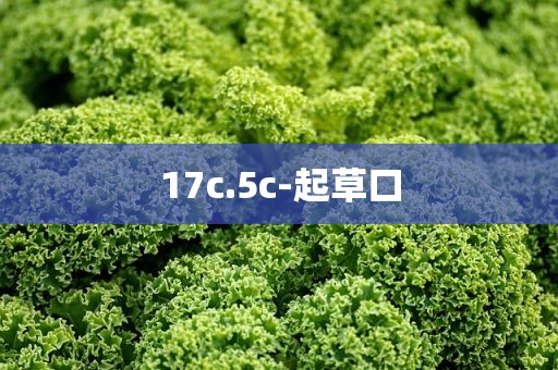 17c.5c-起草口