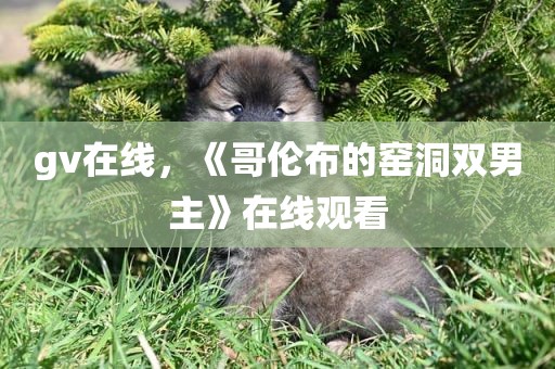 gv在线，《哥伦布的窑洞双男主》在线观看