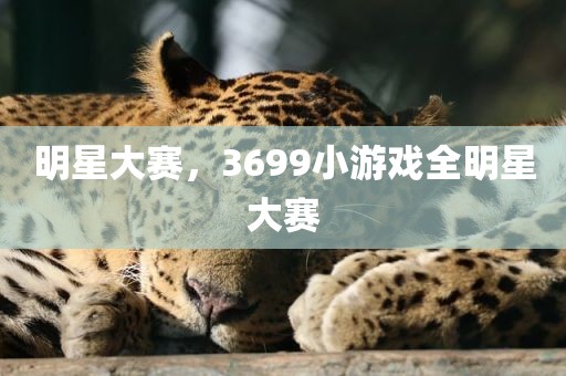 明星大赛，3699小游戏全明星大赛