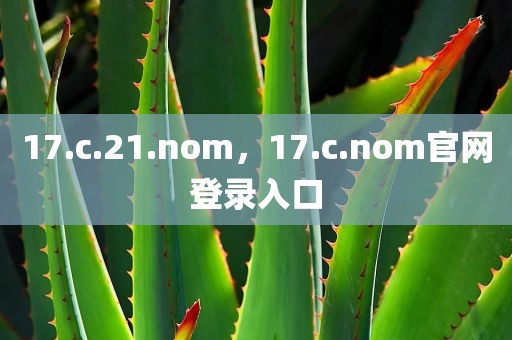 17.c.21.nom，17.c.nom官网登录入口