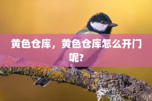 黄色仓库，黄色仓库怎么开门呢?