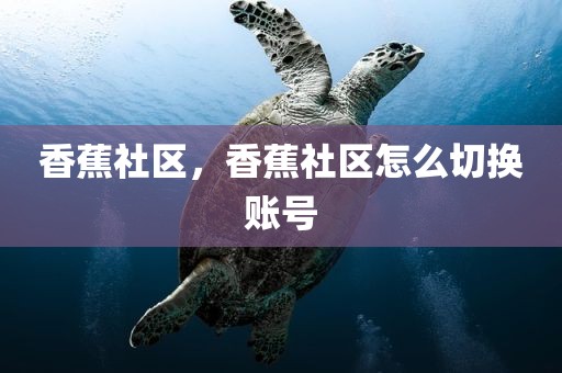 香蕉社区，香蕉社区怎么切换账号