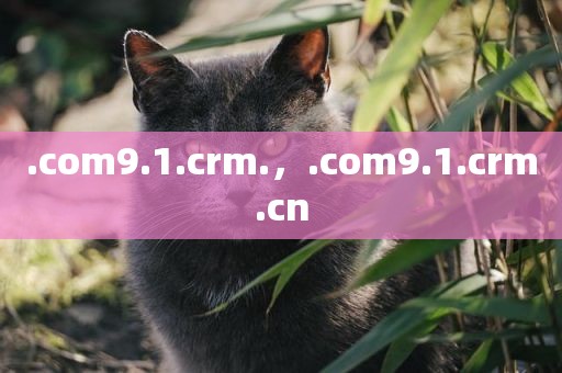 .com9.1.crm.，.com9.1.crm.cn