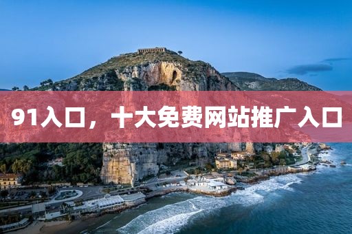 91入口，十大免费网站推广入口