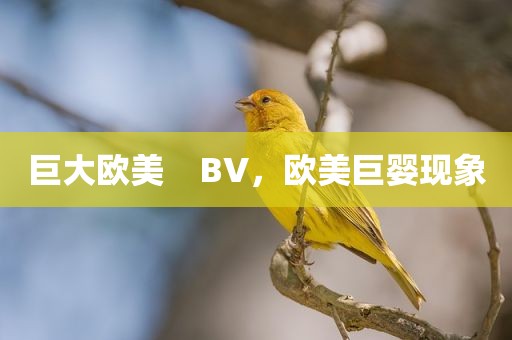 巨大欧美    BV，欧美巨婴现象