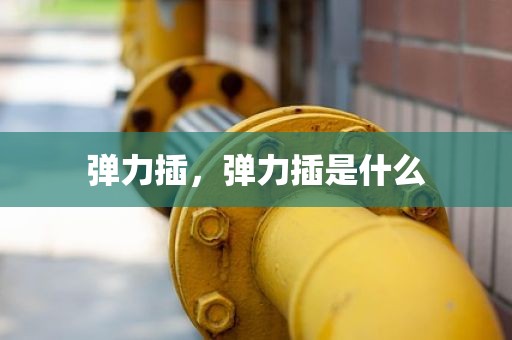 弹力插，弹力插是什么