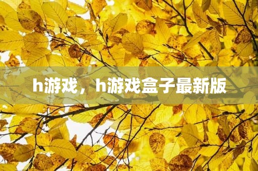 h游戏，h游戏盒子最新版