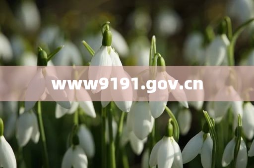 www9191.gov.cn