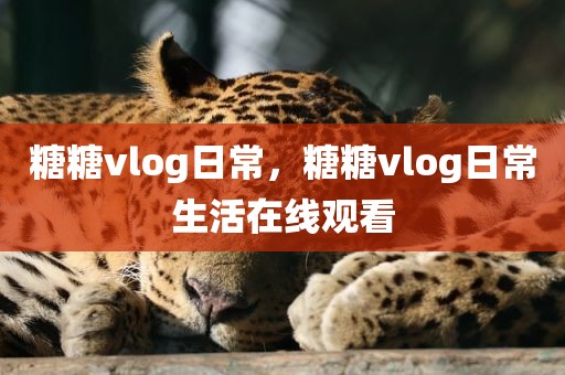 糖糖vlog日常，糖糖vlog日常生活在线观看