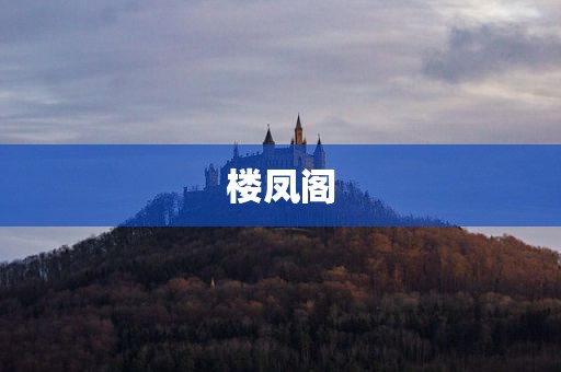楼凤阁