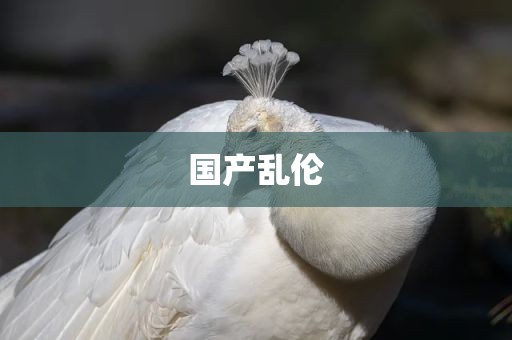 国产乱伦