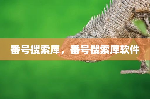 番号搜索库，番号搜索库软件